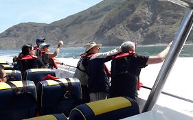 Hostal Praia Madalena